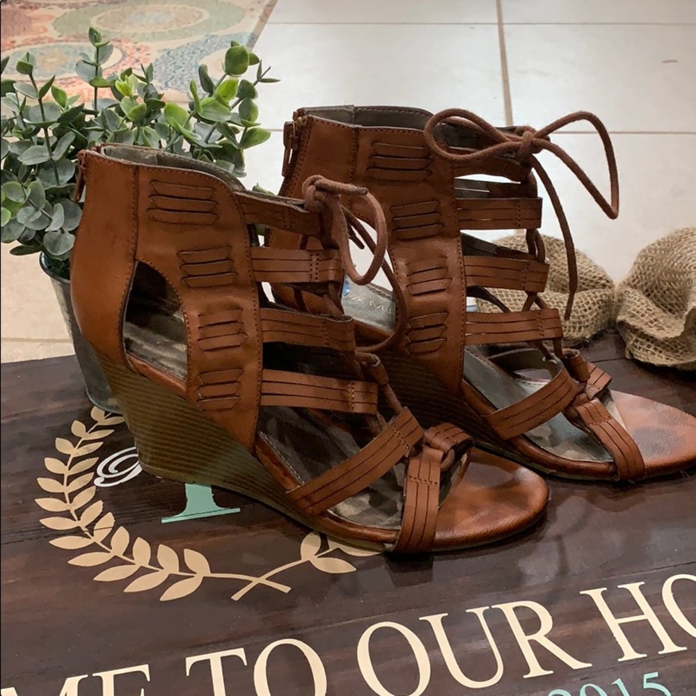 Rampage wedges